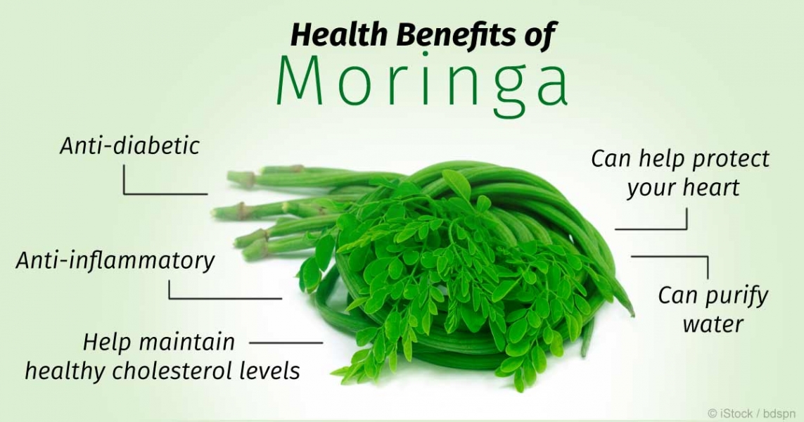 moringa oleifera health benefits